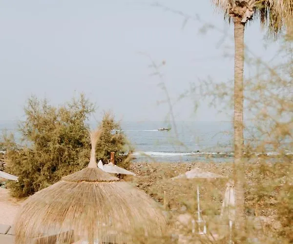 Acogedor Adosado Con Piscina 滨海帕尔姆